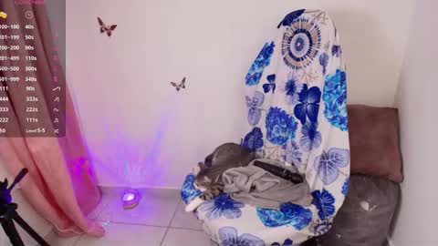 new INSTA   online show from 01.11.26