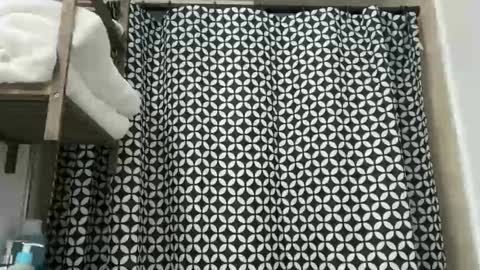 Snapshot of unverifiedbwc chatting on 12.02.25 Stepbro online show from 12.02.25