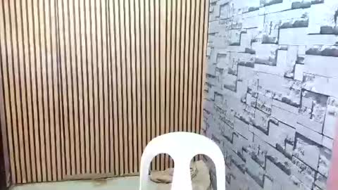 Snapshot of ur_asian_wife6969 chatting on 03.18.26 ur_asian_wife6969 online show from 03.18.26