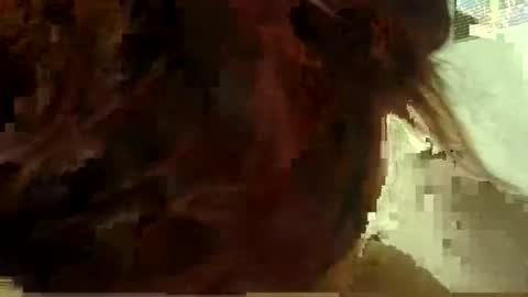 Aniie online show from 01.11.26