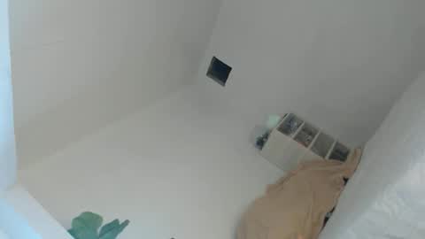 KIM online show from 04.19.26