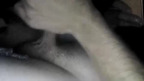 Snapshot of useabitchplz chatting on 04.22.26 Slave bitch online show from 04.22.26