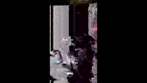 user18675309 online show from 03.08.26