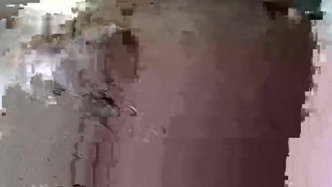 uzurpator0031 online show from 03.22.26