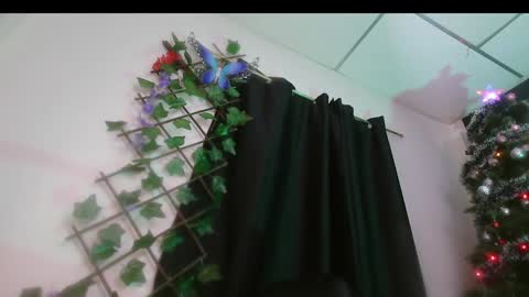 Valery online show from 12.16.24