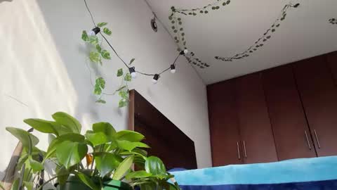   Valentin  independent Cam Boy     online show from 03.11.25