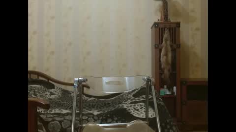 valentijm online show from 04.17.26