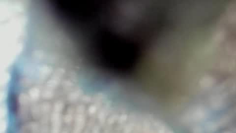 Snapshot of valeri_tafur chatting on 10.13.25 valeri_tafur online show from 10.13.25