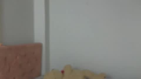 Snapshot of valery_lovex_ chatting on 10.10.25 valery_lovex_ online show from 10.10.25