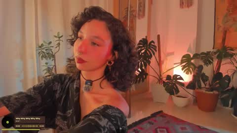      online show from 02.08.26