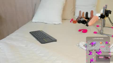 V A N E  online show from 04.16.26