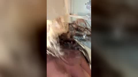vanessareed_ online show from 05.04.26