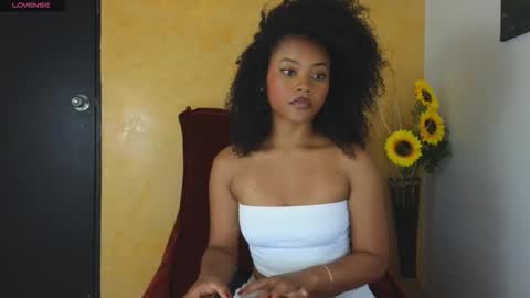 Snapshot of vanestrauss chatting on 11.11.25 New account follow me online show from 11.11.25