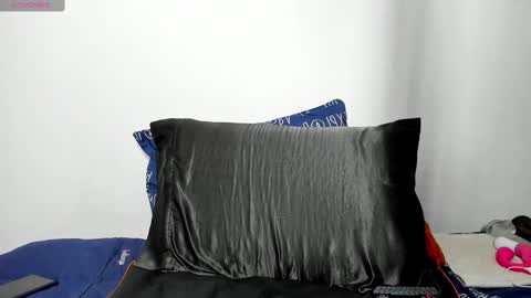 Snapshot of vann_helsing chatting on 03.10.25 Van online show from 03.10.25