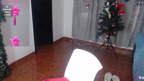 Snapshot of vannesweet_ chatting on 12.22.24 vane online show from 12.22.24
