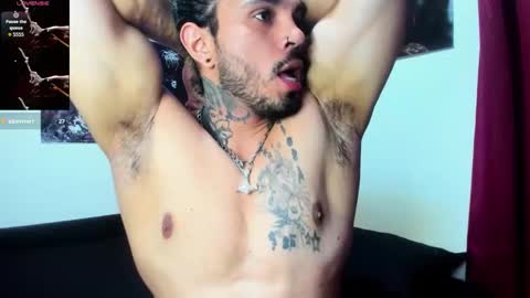 vanvelckan_ online show from 02.14.26