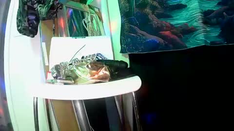 vegasmd online show from 02.27.25