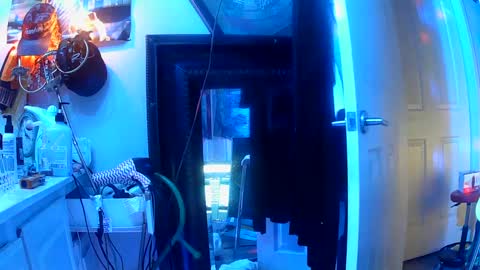 vegasmd online show from 03.12.25