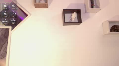 Isabella online show from 04.01.26