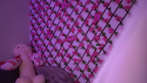 Snapshot of velvet_vice chatting on 11.04.25 Polly online show from 11.04.25