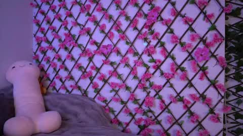 Snapshot of velvet_vice chatting on 11.07.25 Polly online show from 11.07.25