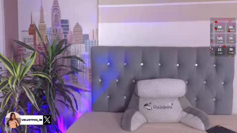 velvetfox_ online show from 11.08.25