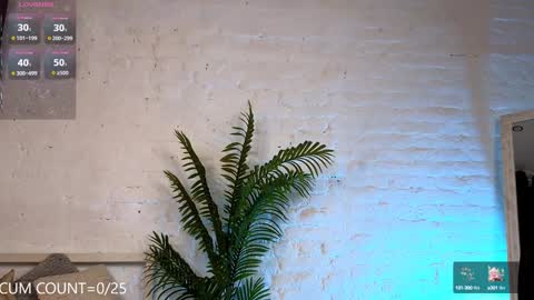 CLEOshort hair  TIna long hair  online show from 02.04.25