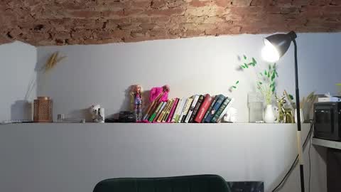 VENERA  online show from 11.22.25