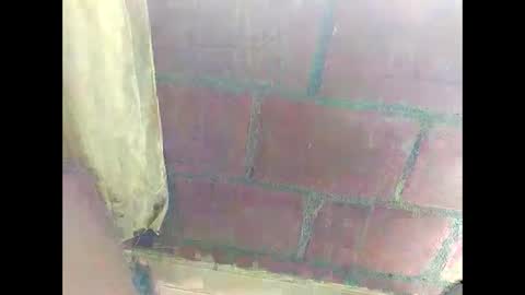 ver_gonblack online show from 12.22.24