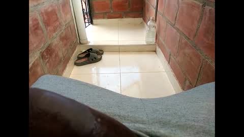 ver_gonblack online show from 02.12.25