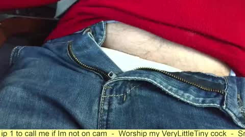 Snapshot of verylittletiny chatting on 10.25.25 Erik online show from 10.25.25