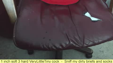 Snapshot of verylittletiny chatting on 11.07.25 Erik online show from 11.07.25