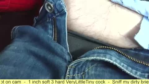 Snapshot of verylittletiny chatting on 11.08.25 Erik online show from 11.08.25