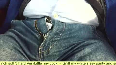 Snapshot of verylittletiny chatting on 11.14.25 Erik online show from 11.14.25