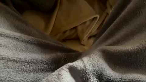 vicio online show from 01.17.26