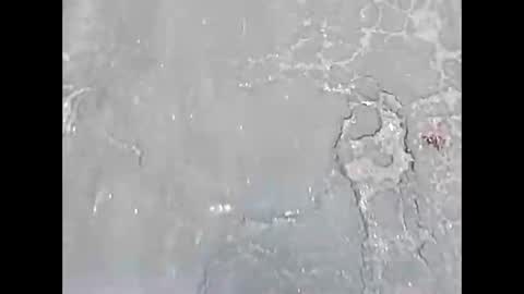 Snapshot of viciouzz1 chatting on 11.24.25 viciouzz1 online show from 11.24.25