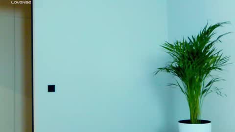 Snapshot of victoriafalls chatting on 11.27.25 Miss V online show from 11.27.25