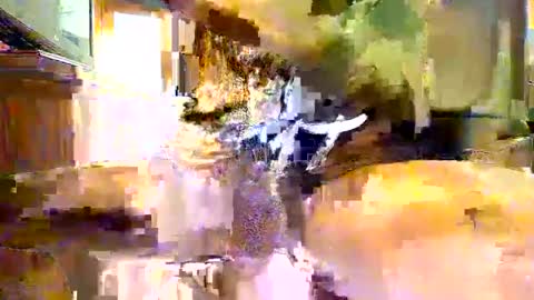 viizin online show from 02.23.25