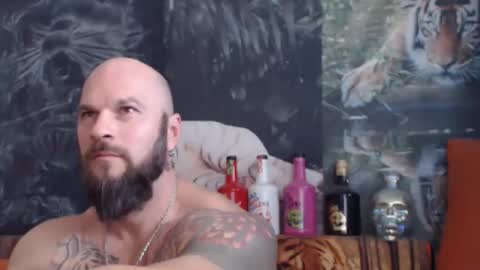 Snapshot of viking_me chatting on 11.04.25 viking online show from 11.04.25