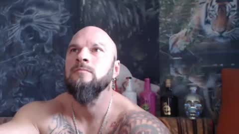 Snapshot of viking_me chatting on 11.11.25 viking online show from 11.11.25