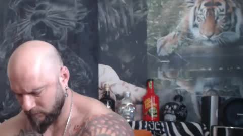 viking online show from 04.11.26