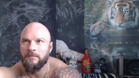 Snapshot of viking_me chatting on 04.22.26 viking online show from 04.22.26