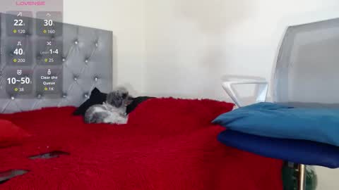 vinzent_lafed_ online show from 10.05.25