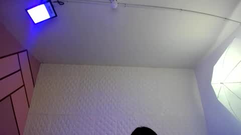     online show from 10.11.25