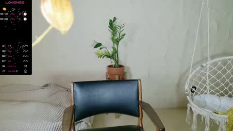 Violet  next stream December 6 online show from 04.01.26