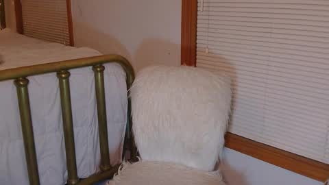 Violet Skye online show from 03.11.26