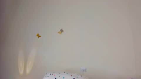 violett_24_ online show from 10.26.25