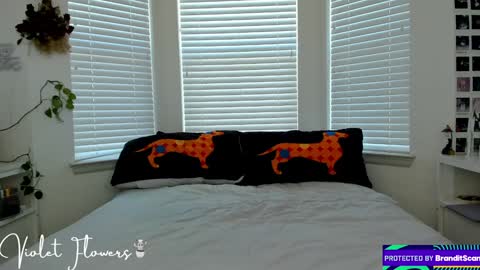 Violet Flowers online show from 01.05.25