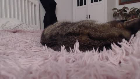 Visceratio online show from 02.07.25