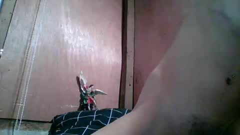 kim online show from 02.10.26